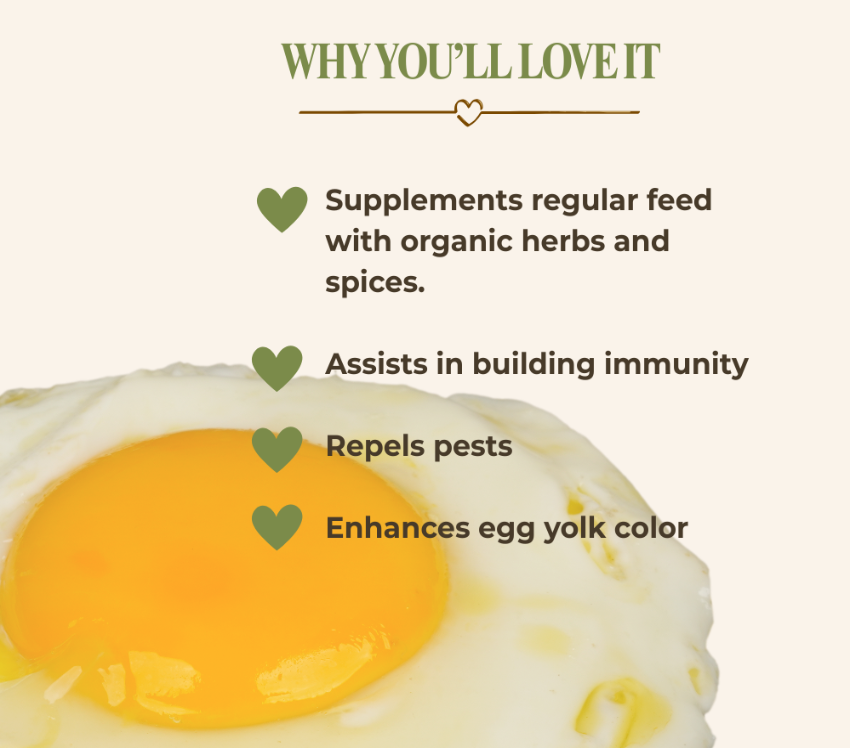 Promotional graphic with the headline 'WHY YOU'LL LOVE IT' above a close-up of a sunny-side-up egg yolk and white, with bullet points listing benefits: supplements regular feed with organic herbs and spices, assists in building immunity, repels pests, and enhances egg yolk color.
