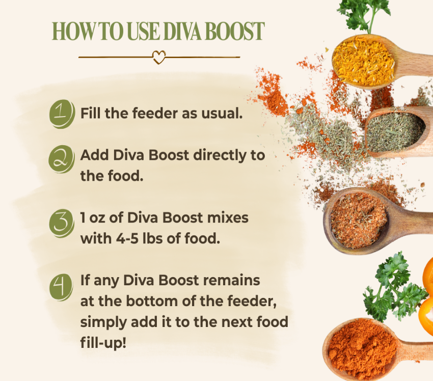 Instructional graphic titled 'HOW TO USE DIVA BOOST' with four numbered steps on a light beige background, alongside decorative wooden spoons filled with colorful powdered spices and herbs.