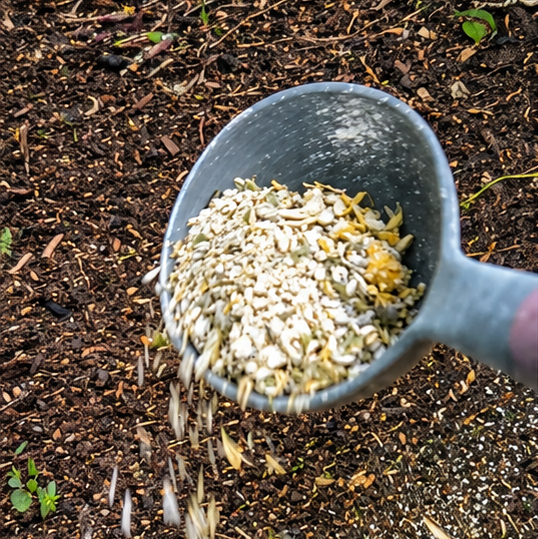 A gray scoop filled with Diva Dust herbs and botanicals is shown pouring over dark garden soil, with the herbs falling in a stream onto the ground.