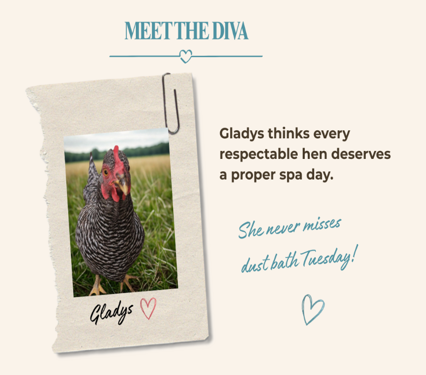 A promotional graphic with the heading 'MEET THE DIVA' and a styled paper note showing a photo of a black-and-white speckled hen in a grassy field. Text on the right reads, 'Gladys thinks every respectable hen deserves a proper spa day.