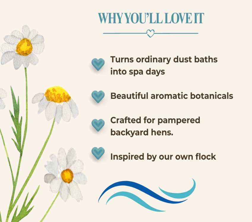 A promotional graphic with the headline 'WHY YOU'LL LOVE IT' on a light beige background, decorated with watercolor daisies and listing bullet points about dust baths, aromatic botanicals, pampered hens, and inspiration from the flock.