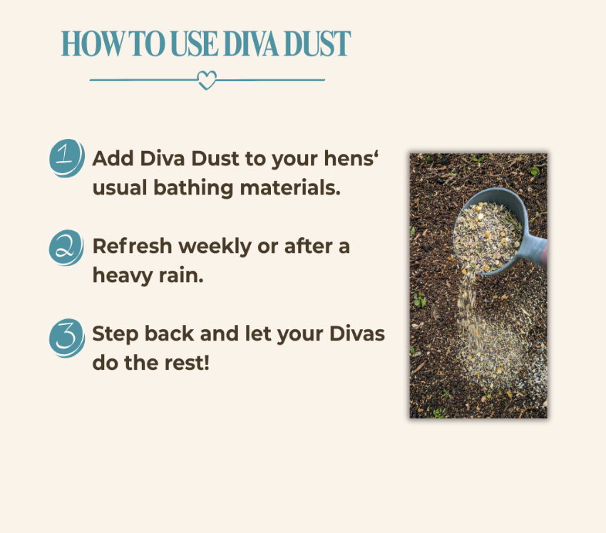 An instructional graphic titled 'HOW TO USE DIVA DUST' with three numbered steps in teal and dark gray text on a beige background, plus a small inset photo of Diva Dust being poured onto soil with a scoop.