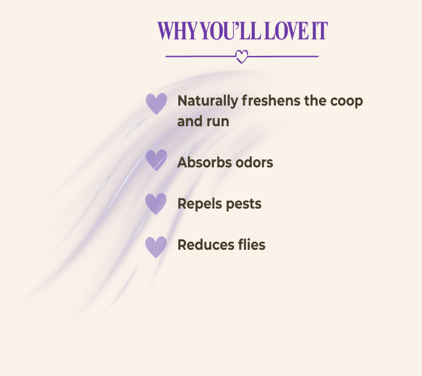 A promotional graphic with the heading 'WHY YOU'LL LOVE IT' in purple above a list of benefits: naturally freshens the coop and run, absorbs odors, repels pests, and reduces flies, on a light cream background with soft purple decorative strokes.