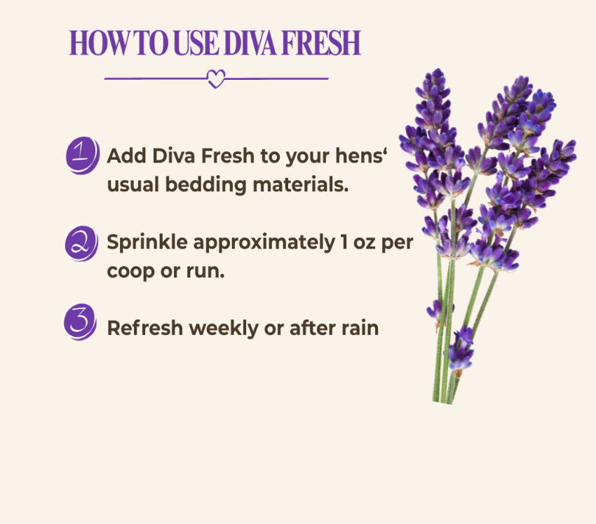 Instruction graphic titled 'HOW TO USE DIVA FRESH' with three numbered steps and a bouquet of purple lavender flowers on a light beige background.