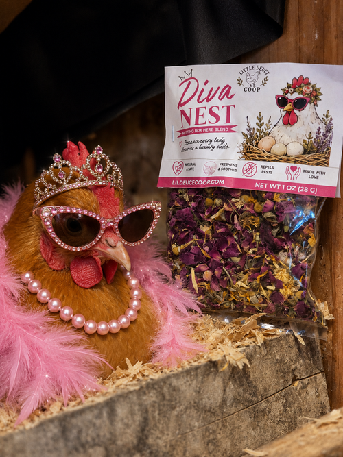 Diva chicken sitting in a nesting box with sunglasses, a pearl necklace and a tiara next to a 'Diva Nest' product packaging.